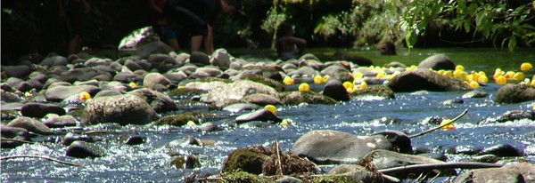 Duck Race